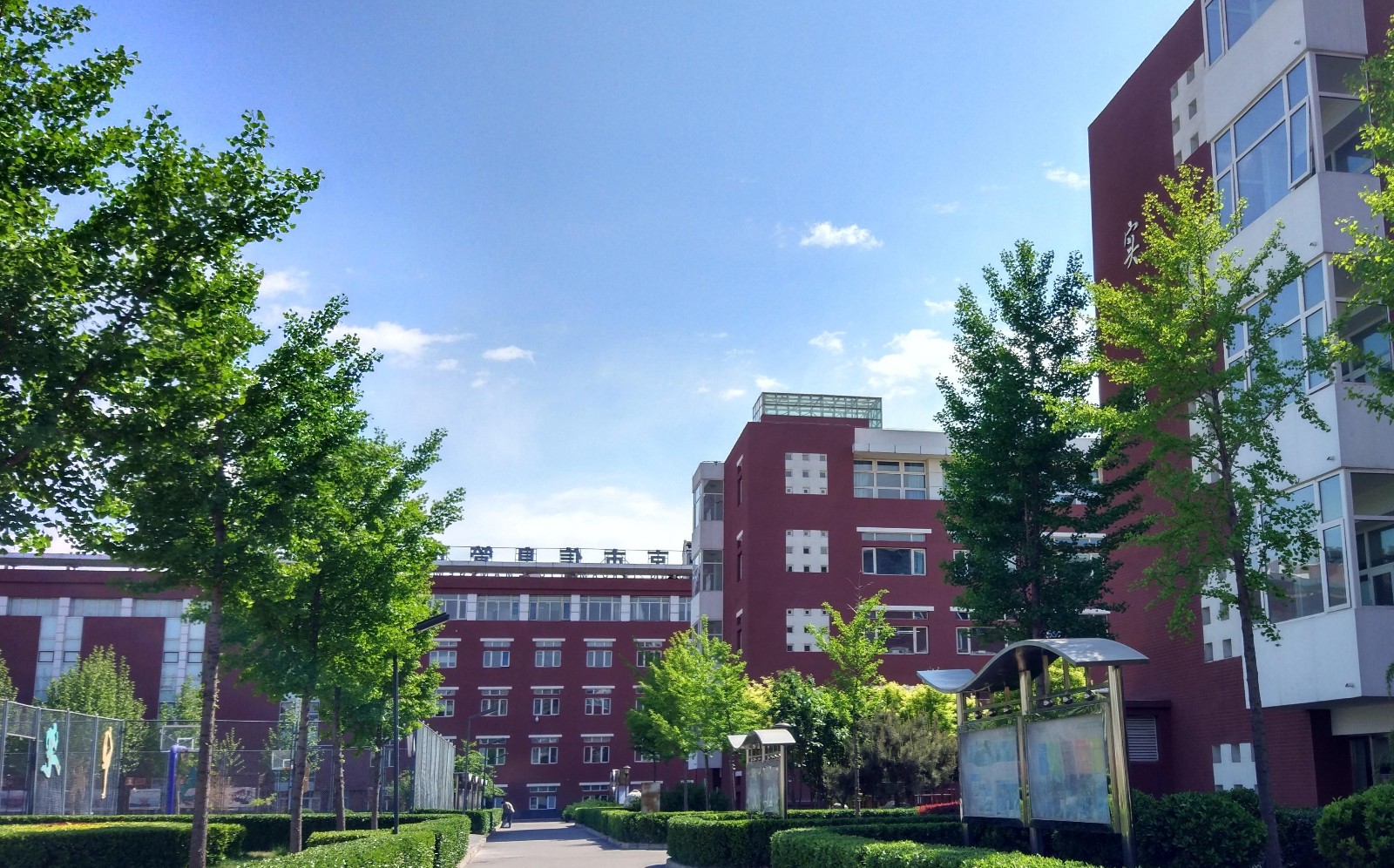 北京市信息管理學校2024年招生計劃詳解 計算機網絡信息管理與服務專業