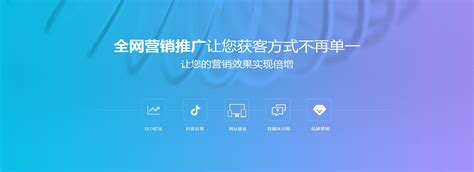 網絡推廣資源保障情況(2025年02月實測) 體系解讀與優化路徑
